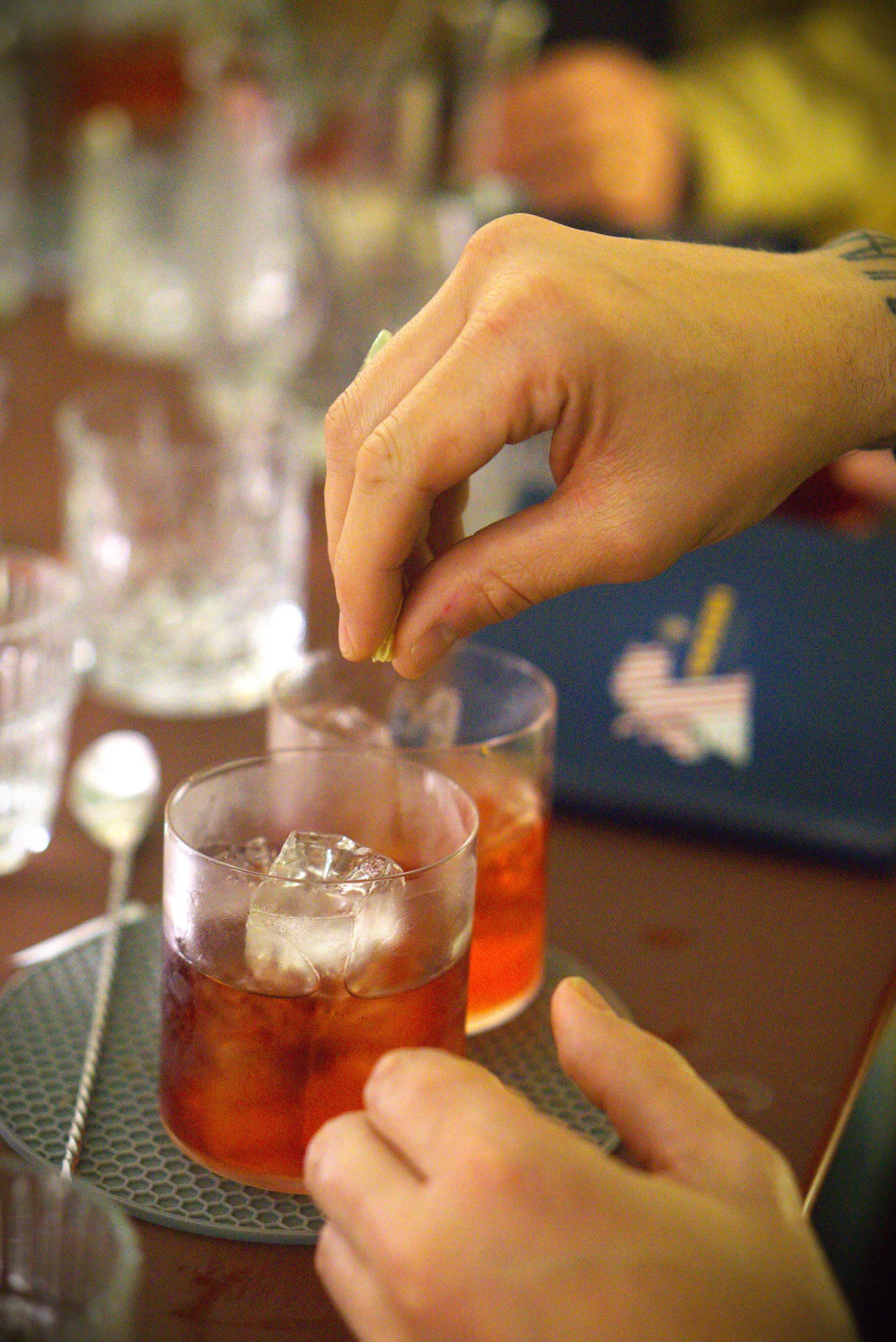 NEGRONI'S ANATOMY