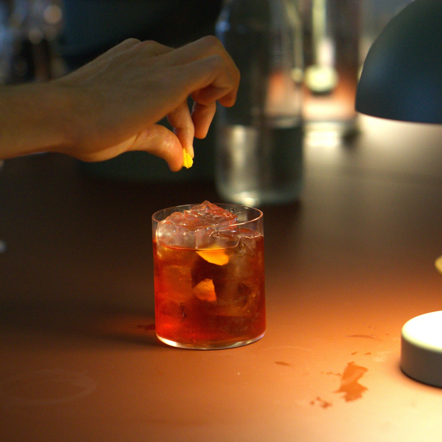 NEGRONI'S ANATOMY