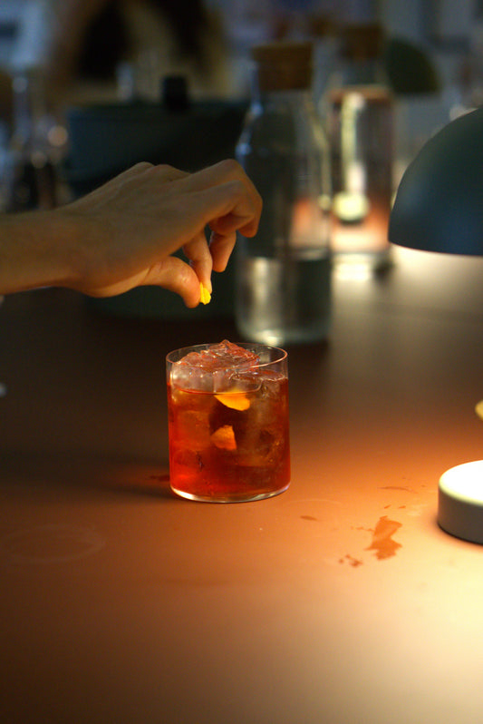 NEGRONI'S ANATOMY
